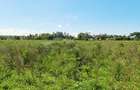 Land at Vipingo - 5
