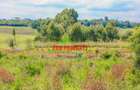 0.05 ha Residential Land at Ondiri - 4