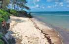 Land at Kuruwitu Beach Vipingo - 11