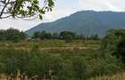5,000 m² Land at Kilimambogo - 7