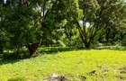 Land at Mtwapa - 9