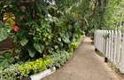 2 Bed House with Garden in Karen - 2