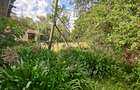 5 ac Land in Karen - 4