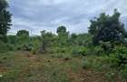 4.5 ac Land at Mtwapa - 18