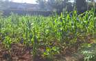 0.4 ac Land at Ridgeways Country Homes - 4