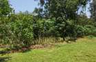 Land at Riverside Drive - 1
