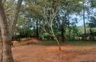 11 ac Residential Land at Ramisi - 2