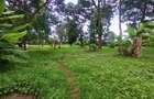 0.5 ac Land at Mumbi Road - 1