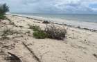 Land in Diani - 2
