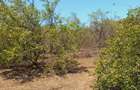 Land at Near Munarani - 6