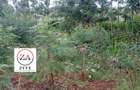 0.125 ac Land at Kasphat Estate - 11