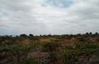 Land at Umma University - 3