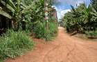 0.12 ac Land in Ruaka - 1
