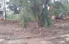 0.0125 ac Residential Land in Kyuna - 1