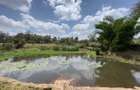 3.75 ac Land in Karen - 7