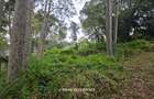 4.3 ac Land at Old Muthaiga - 8
