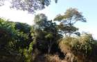 Residential Land in Karen Hardy - 4