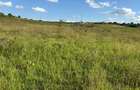 Land in Juja - 5