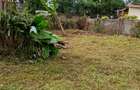Land in Kinoo - 1