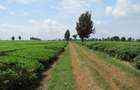 Commercial Land at Kiambu Road - 8