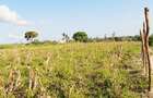 Land in Kilifi - 15