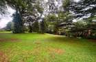 4 Bed House with Staff Quarters in Kitisuru - 3