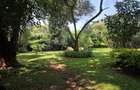 4 Bed House with En Suite at Loresho - 2