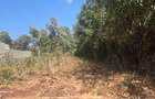 0.25 ac Land at Kerarapon Drive - 5