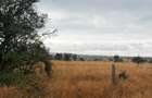 8 ac Land in Athi River - 5