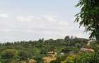 5,000 m² Land at Kilimambogo - 10
