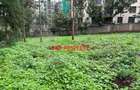 0.08 ha Commercial Land at Muthiga - 4