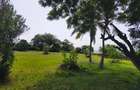 Land at Kikambala Beach - 13