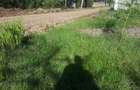 0.25 ac Residential Land in Ongata Rongai - 14