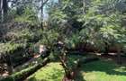 5 Bed Townhouse with En Suite in Runda - 4