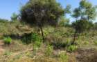 3.1 ac Land at Off Diani Link Rd - 10