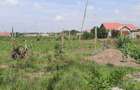 Land at Weteithie - 1
