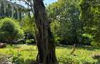 3 ac Land at Marina - Lamarina Mtwapa Creek - 19