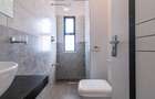 2 Bed Apartment with Swimming Pool at Tatu City - 13