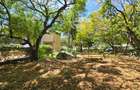 1 ac Land at Hemingways - 9