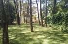 4 Bed Villa with En Suite in Kitisuru - 10