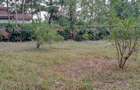 0.5 ac Land at Ololua - 5