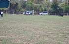 505 m² Commercial Land at Gakawa - 21