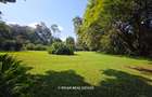 1.25 ac Land at Old Kitisuru - 3