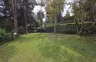 4 Bed Townhouse with En Suite in Kitisuru - 3