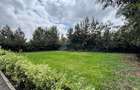 3 Bed Villa with En Suite at Bogani - 5