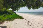 Land at Kikambala Beach - 1