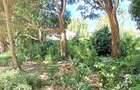 Land at Mtwapa - 15