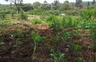 1 ac Land in Karen - 2