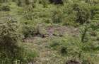 0.045 ac Residential Land at Kitengela Acacia - 16