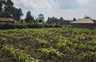 Land at Limuru Road - 10